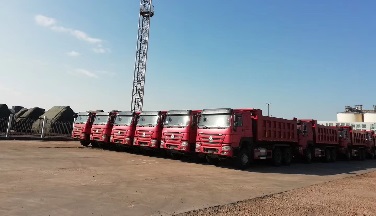 60 Units Sinotruck Howo Dump Truck Export to Latin America