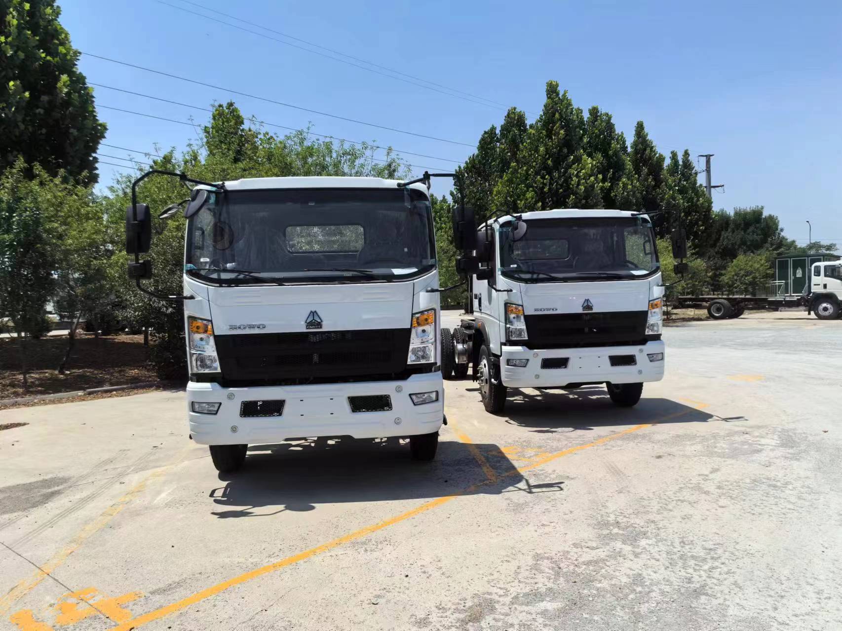 Howo Light Cargo Truck 110hp to 190hp Euro 3 Euro 4 Euro 5